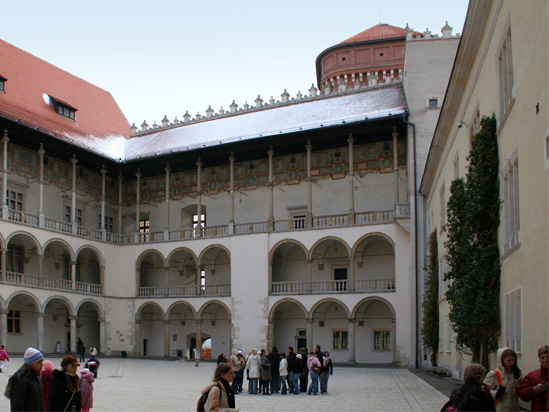 Chamber adaptation in Wawel castle